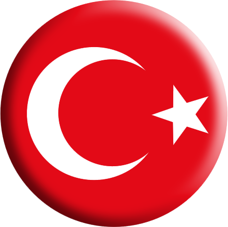 Türkçe